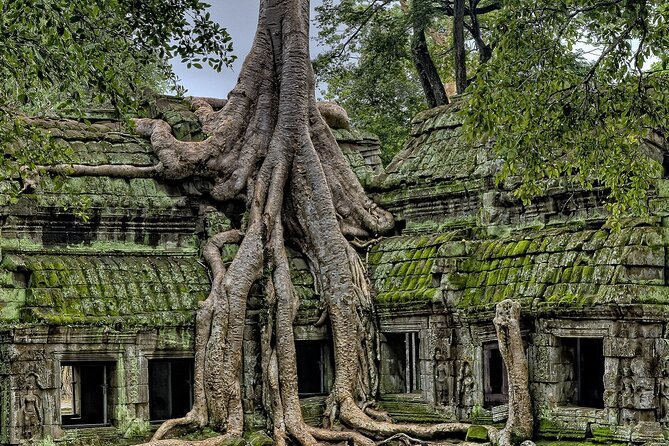 The Angkor Temples from Sunrise by Tuk Tuk - The 5:00 a.m. Advantage at Angkor Wat
