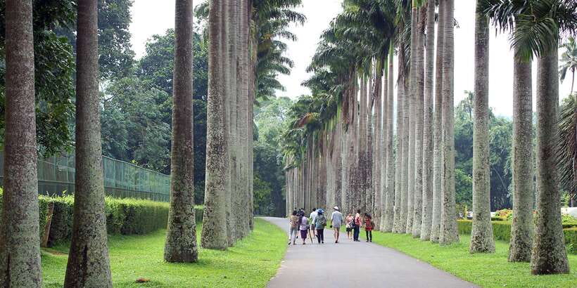 Three Temples Loop In Kandy Day Tour By Tuk Tuk - Asgiriya Stupa and the early rhythm of Kandy