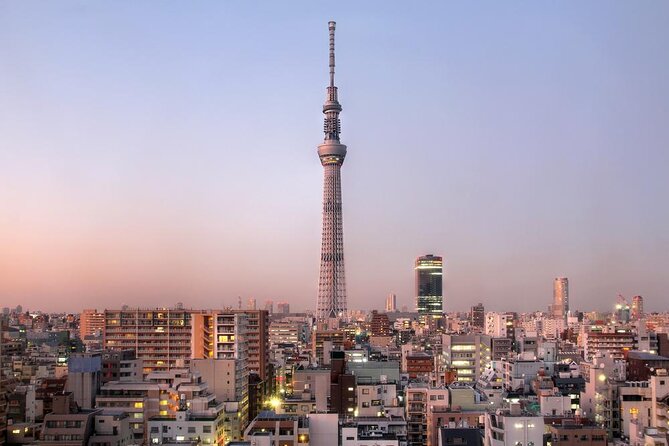 Tokyo Asakusa Rickshaw Tour - Quick hits you’ll feel right away
