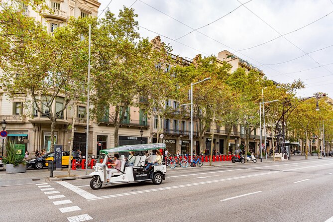Tour Welcome Barcelona with Local Guide in Eco Tuk Tuk Private - Passeig de Gràcia and the Batlló House Facade: Modernism Up Close