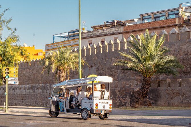 Tour Welcome Seville with Local Guide in Eco Tuk Tuk Private - Key highlights worth knowing