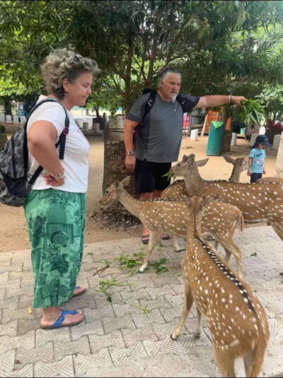 Trincomalee: Tuk-Tuk city tour with a guide - Pickup Point, Tea Break, and How the Day Flows