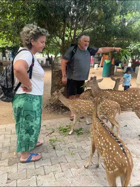 Trincomalee: Tuk-Tuk city tour with a guide - Price and Value: Is $35 Fair for What You Get?