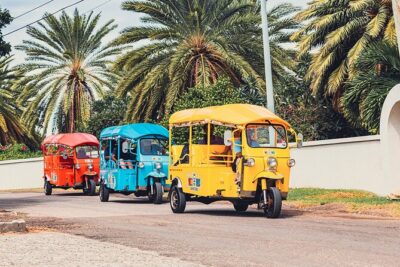 Tuk-Tuk Adventures Rainforest and Beach Hopping Tour - Guides That Really Drive the Experience: Ray, Ash, Teddy, and More