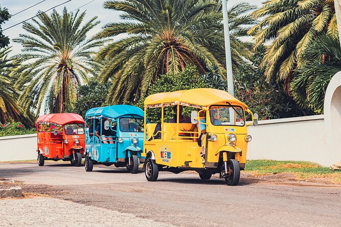Tuk-Tuk Adventures Rainforest and Beach Hopping Tour - Guides That Really Drive the Experience: Ray, Ash, Teddy, and More