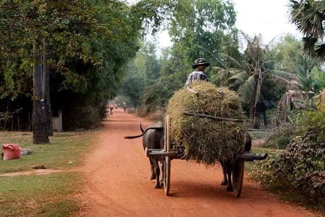 Tuk Tuk Journey: Exploring Rural Life and Silk Farm Craftsmanship - Key Things You’ll Notice on This Tuk Tuk Journey