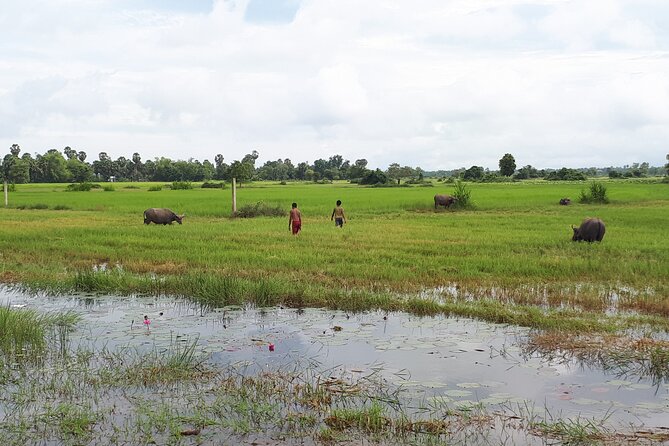 Tuk Tuk Journey: Exploring Rural Life and Silk Farm Craftsmanship - វត្តខ្នាតរង្សី: Buddhism on the Way Back to Siem Reap