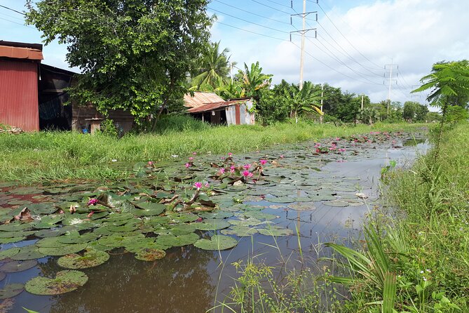 Tuk Tuk Journey: Exploring Rural Life and Silk Farm Craftsmanship - FAQ