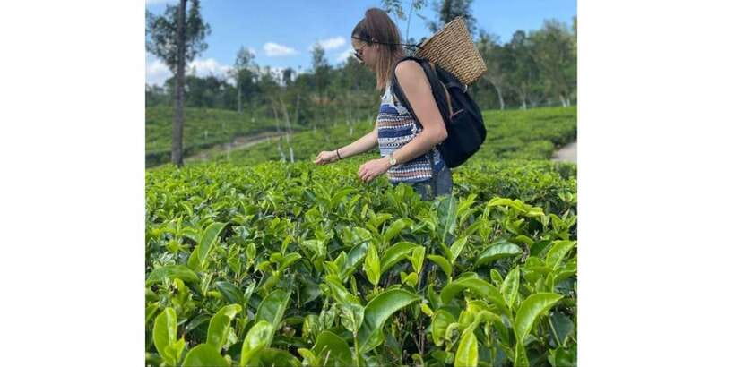 Tuk Tuk Kandy City Tour By Local Guide - Royal Botanical Garden and Peradeniya time: a needed breather