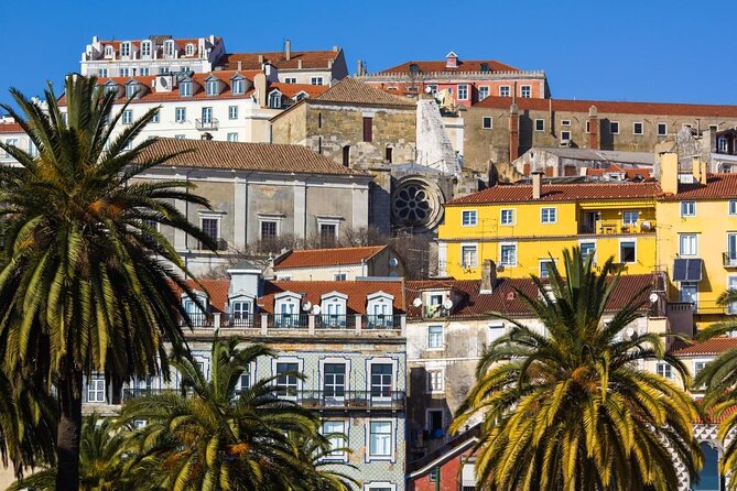 Tuk Tuk Lisbon: Exploring Urban Art - Key things to know before you go