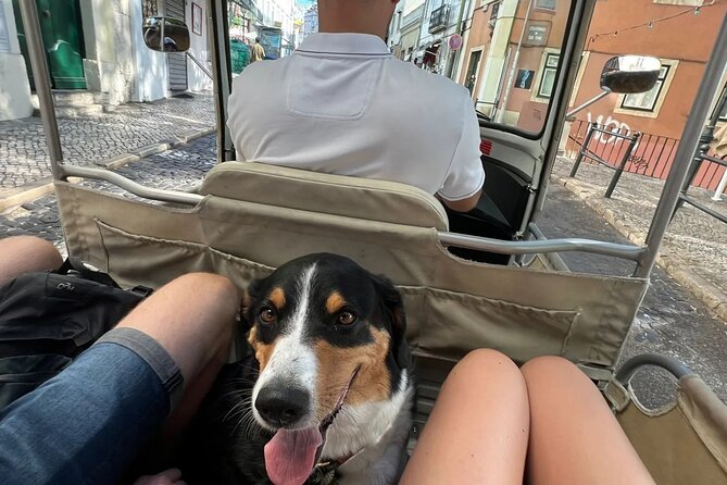 Tuk-Tuk Lisbon Tour 1 - 3hours - Time Out Market Lisboa and LX Factory: Where the City Eats and Creates