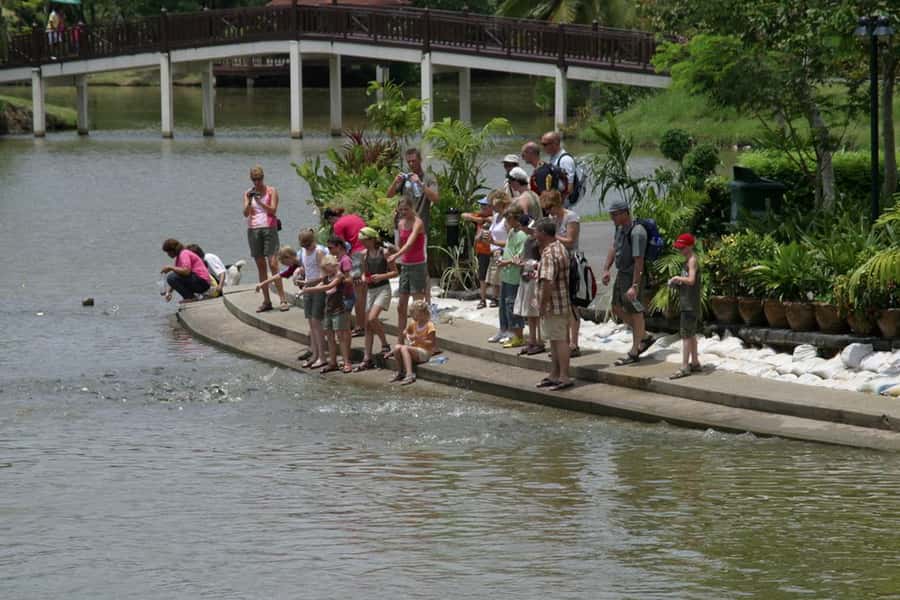 Tuk-Tuk, Longtail-boat and Rickshaw Bangkok jungle Tour - Logistics that affect your comfort (and your photos)