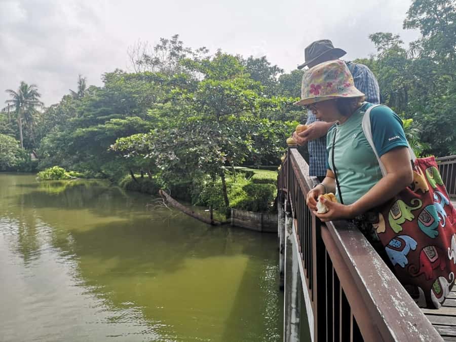 Tuk-Tuk, Longtail-boat and Rickshaw Bangkok jungle Tour - Bang Nam Phueng floating market: the weekend and holiday wildcard