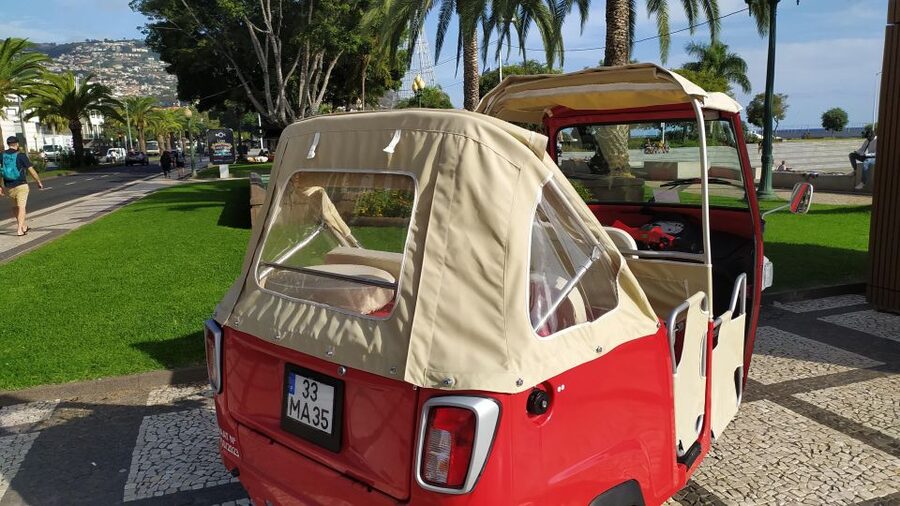 Tuk Tuk Monte Toboggan - Madeira Island - The guide experience: what “curiosities” adds to the ride