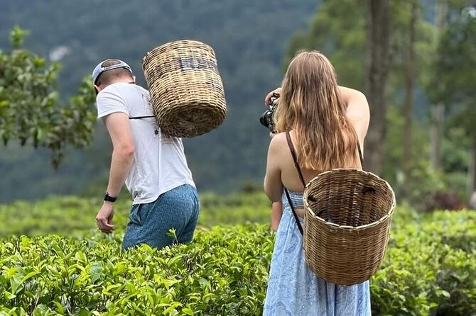 Tuk Tuk Nuwara Eliya Tea Falls Adventure - Key highlights you’ll feel on the day
