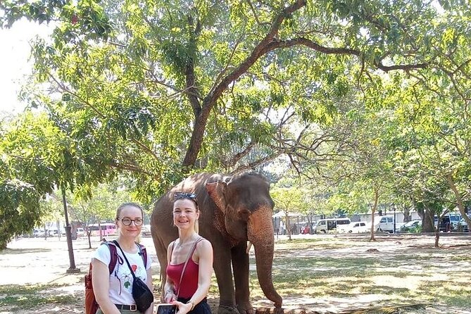 Tuk Tuk Private Tour Exploring Sri Lanka Capital of Colombo - Price and what you really get for the $25