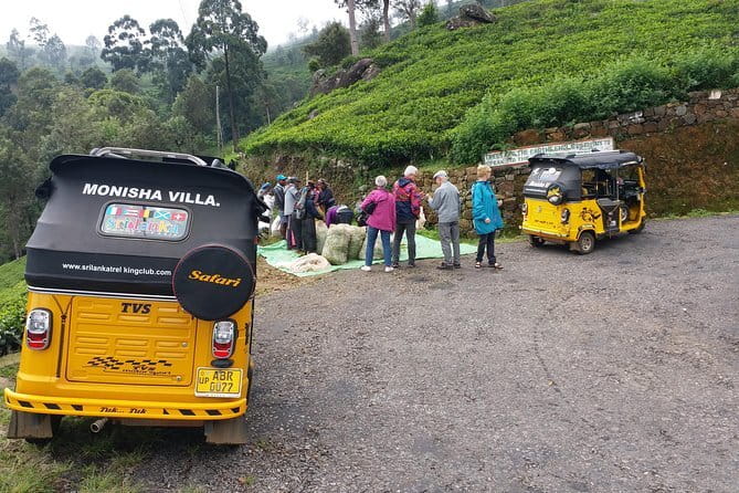 Tuk Tuk safari and Picnic in The Tea Plantation from Ella,Haputale & Bandarawela - Tuk Tuk to Lipton’s Seat: The Best Kind of Half-Day
