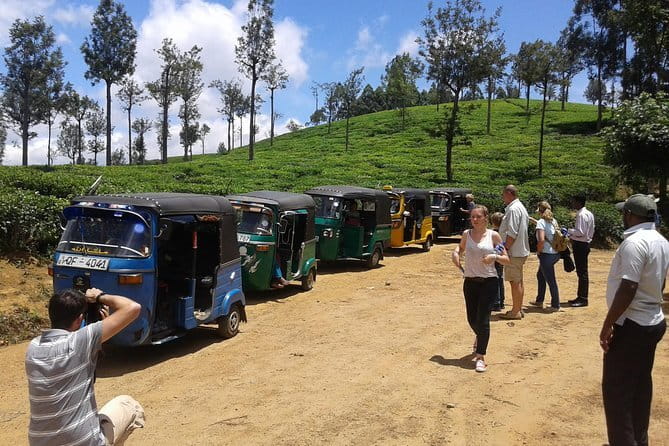 Tuk Tuk safari and Picnic in The Tea Plantation from Ella,Haputale & Bandarawela - Where the Tour Actually Goes: The Lipton’s Seat Stop