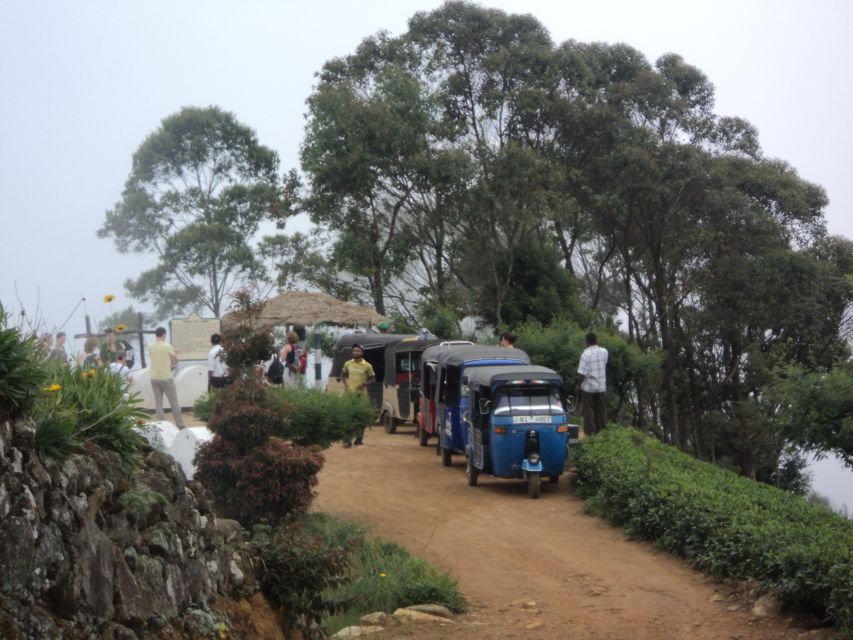 Tuk-Tuk Safari Liptons seat,Tea Fields Hike,TeaFactory Tour - FAQ