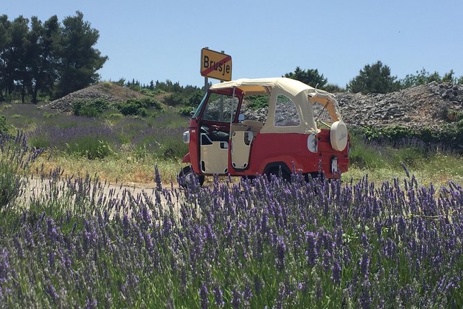 Tuk Tuk Sightseeing Tour of Hvar - Key Things You’ll Notice on This Hvar Tuk-Tuk Tour