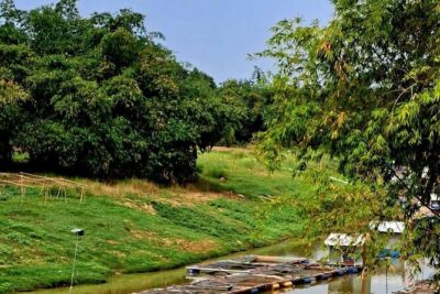 Tuk Tuk Tour (Full-Day) - The morning: Khmer Rouge Killing Fields, local food, and Ek Phnom