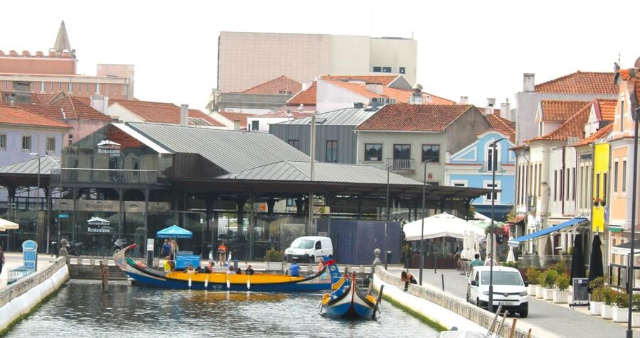 Tuk Tuk Tour in Aveiro - Dr. Joaquim de Melo Freitas Square to Republic Square: City Center Orientation