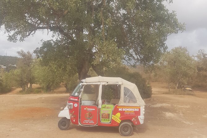 Tuk tuk tour- the best way to see coast and country side - Price and value in Albufeira: paying per group instead of per head