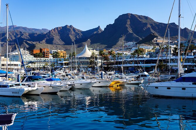 Tuk Tuk Tours in Costa Adeje - Price and value: what $29.04 buys you