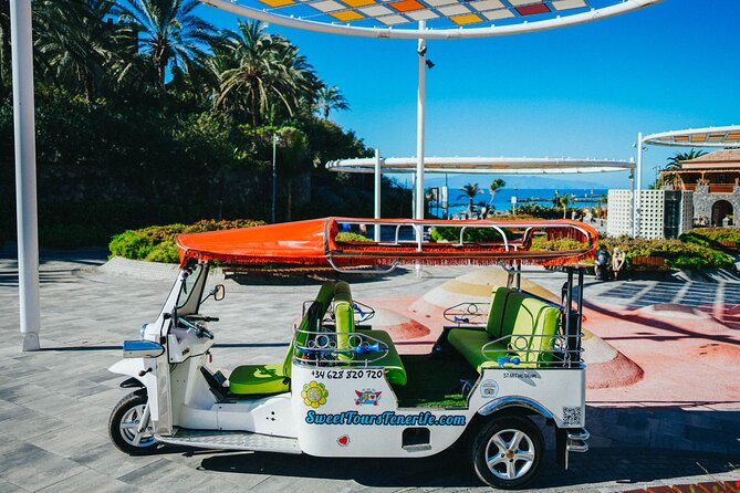 Tuk Tuk Tours in Costa Adeje - Small group vs private: which ride fits your needs