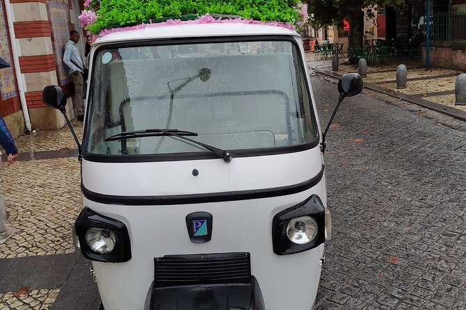 Tuk Tuk Transfer With Sintra Pena Ticket From Meeting Point - Language, group size, and timing details that affect your day