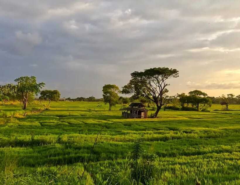 Unseen Sigiriya: Village & Rock Viewpoints by Tuk Tuk - Lake Stops for Bird Watching and Photo Reflections