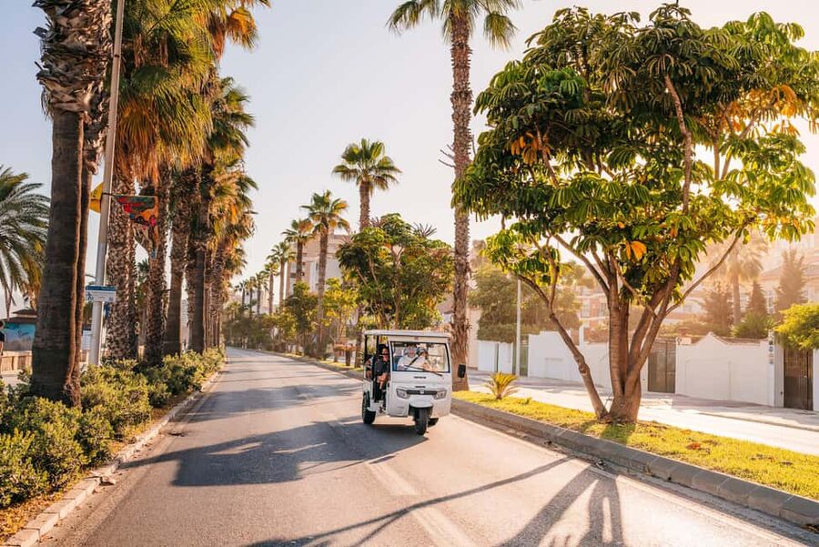 Valencia: 1-hour Private Tuk Tuk Tour - Key points before you go