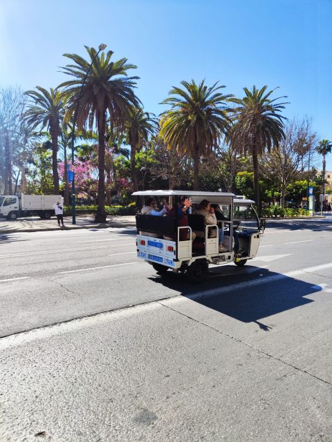 Valencia: 2-hour City Highlights Guided Tour by Tuk Tuk - Mestalla Stadium: the city seen through everyday locals