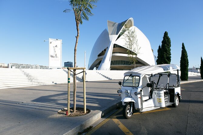 Valencia Complete Tour by Tuk Tuk - Modern Art Museum Stop: A Quick Change of Pace