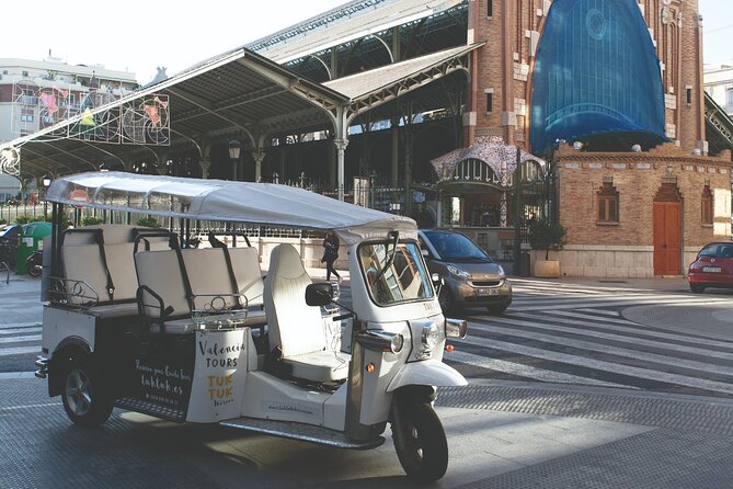 Valencia Complete Tour by Tuk Tuk - Torres de Serranos and the Fine Arts Museum: Where the Old Wall Meets Art