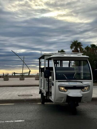 Valencia: Full Tuk Tuk Tour 2H - Porta de la Mar and Puente de las Flores: Quick Stops, Big Meaning