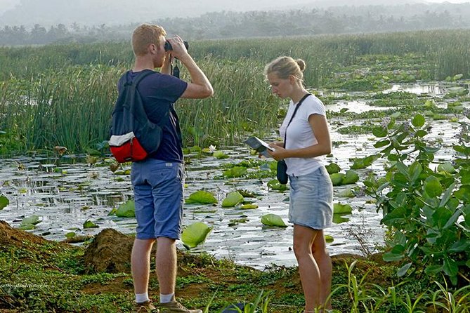 Village Expedition in Yala By Tuk-Tuk from Hambantota Harbor - From Hambantota Pier to Yala: The Start That Sets the Tone
