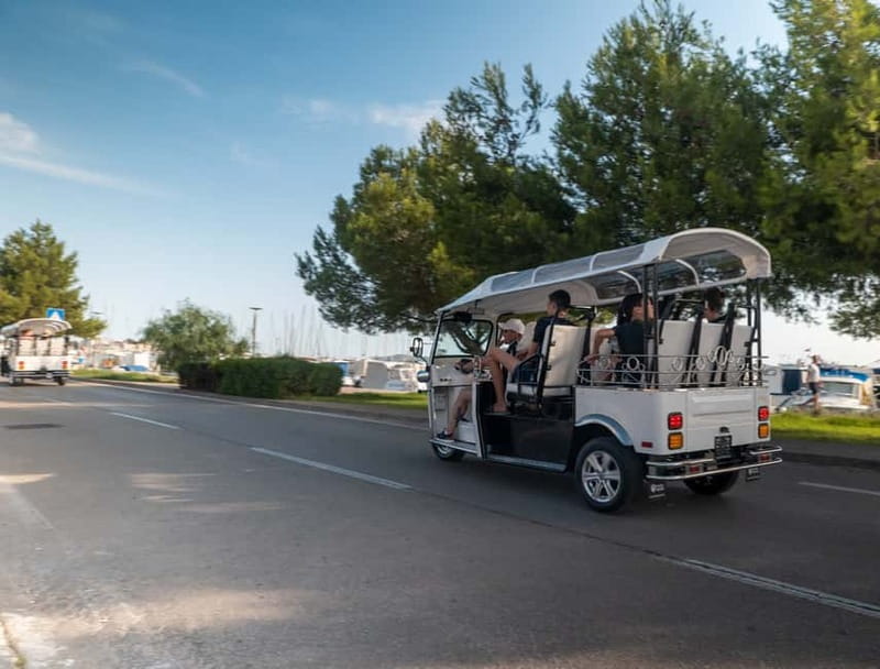 Zadar: Panorama Eco Tuk Tuk Tour - Roman Forum free time: where ruins feel real (20 minutes)